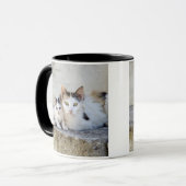 Zwei Katzen auf Steinschritten Tasse (Vorderseite Links)