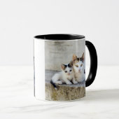 Zwei Katzen auf Steinschritten Tasse (VorderseiteRechts)