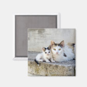 Zwei Katzen auf Steintreppen Magnet (Vorderseite/Rückseite)
