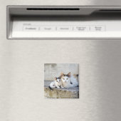 Zwei Katzen auf Steintreppen Magnet (In Situ (Geschirrspüler))