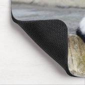 Zwei Katzen auf Steintreppen Mousepad (Ecke)