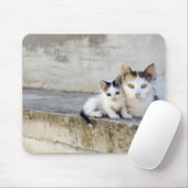 Zwei Katzen auf Steintreppen Mousepad (Mit Mouse)