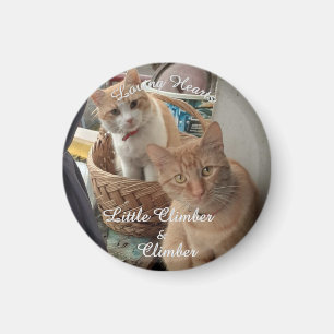 zwei Katzen , austauschbares Foto und Namen, Magnet