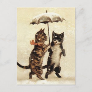 Zwei Katzen, ein Regenschirm Postkarte