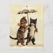 Zwei Katzen ein Schirm Postkarte (Vorderseite)