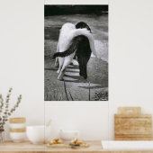 ZWEI KATZEN - FREUNDE - BESTE POSTER- UND CANVAS-D POSTER (Küche)