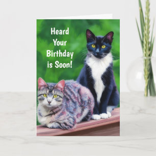 Zwei Katzen Geburtstags-Kunst Katzenliebhaber Pun  Feiertagskarte