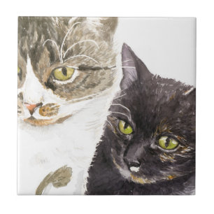 Zwei Katzen - getigert und Schildpatt Fliese