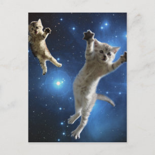 Zwei Katzen im Weltraum schwebend um die Galaxie Postkarte