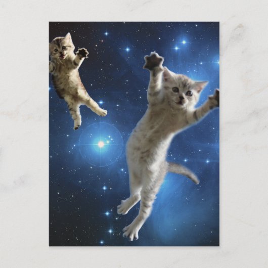 Zwei Katzen im Weltraum schwebend um die Galaxie Postkarte (Vorderseite)