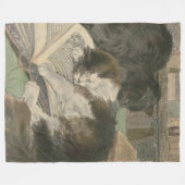 Zwei Katzen in der Bibliotheks-Fleecedecke Fleecedecke (Vorderseite (Horizontal))