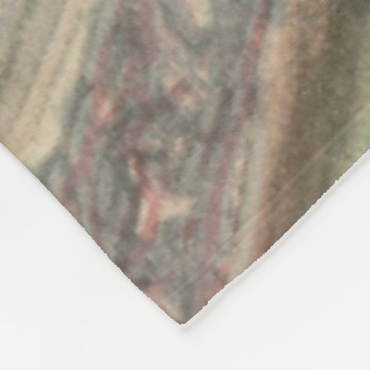 Zwei Katzen in der Bibliotheks-Fleecedecke Fleecedecke (Ecke)