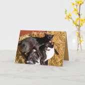 Zwei Katzen in der Liebe Grußkarte Karte (Gelbe Blume)