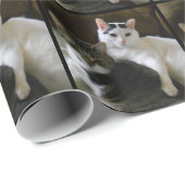 Zwei Katzen in Liebe Geschenkpapier (Rolleneckpunkt)