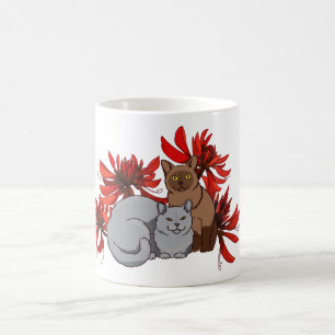 Zwei Katzen mit australischem Korallenbaum Kaffeetasse