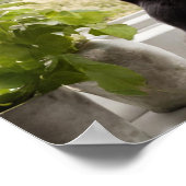 Zwei Katzen mit Blick auf die Fensterwand Kunst Poster (Ecke)