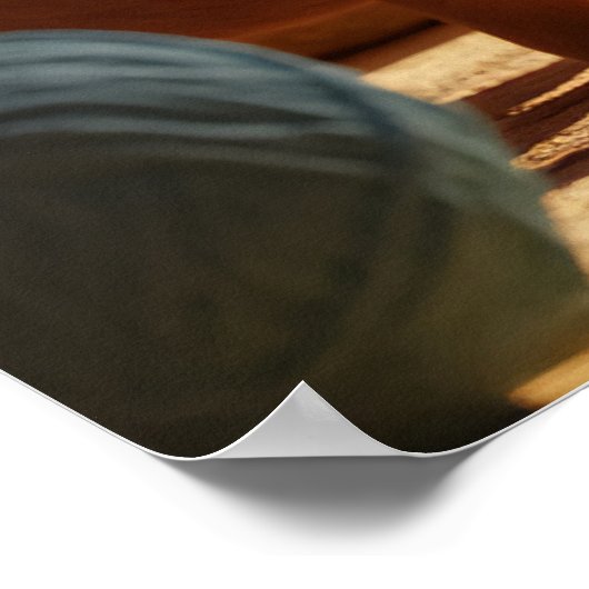 Zwei Katzen-Plakat Poster (Ecke)