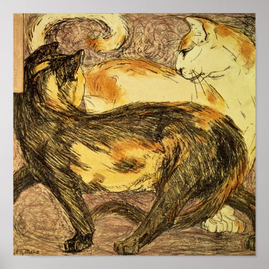 Zwei Katzen Poster (Vorne)