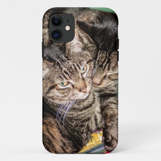 Zwei Katzen schnipsen Case-Mate iPhone Hülle (Rückseite)