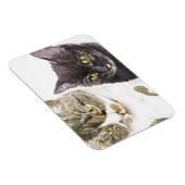 Zwei Katzen - Tabby und Tortie Magnet (Rechte Seite)