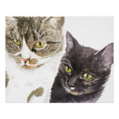 Zwei Katzen - Tabby und Tortie Poster (Vorderseite)