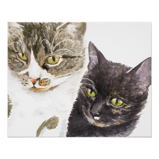 Zwei Katzen - Tabby und Tortie Poster (Vorderseite)