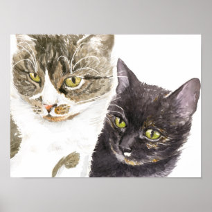 Zwei Katzen - Tabby und Tortie Poster