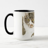 Zwei Katzen - Tabby und Tortie Tasse (Links)