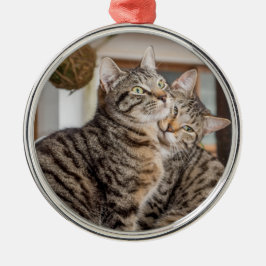 Zwei Katzen umarmt Ornament Aus Metall