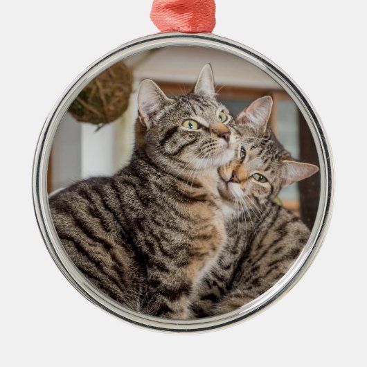 Zwei Katzen umarmt Ornament Aus Metall (Vorne)