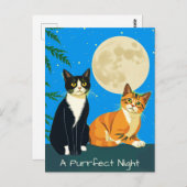 Zwei Katzen unter Vollmond Postkarte (Vorne/Hinten)