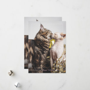 "Zwei Katzen" Valentinstagskarte Feiertagskarte