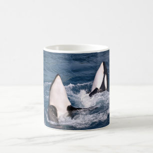 Zwei Killwale Kaffeetasse