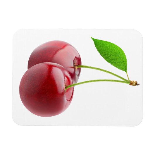 Zwei Kirschen Magnet (Horizontal)