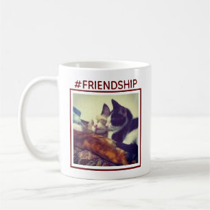 Zwei Kittens Cuddle Foto Hashtag Freundschaft Kaffeetasse