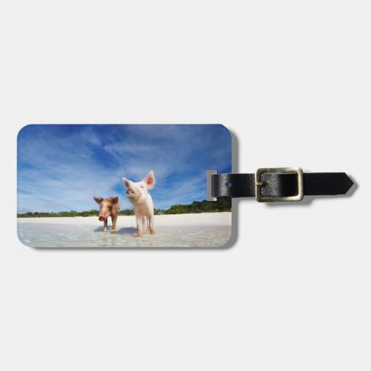 Zwei kleine Ferkel Gepäckanhänger (Vorderseite horizontal)