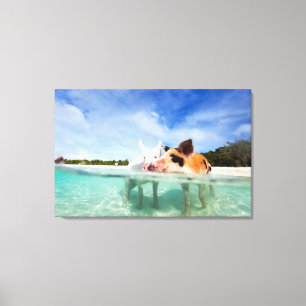 Zwei kleine Ferkel Leinwanddruck