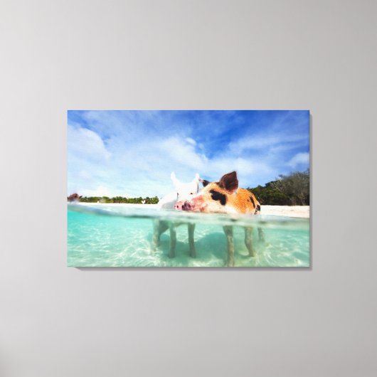 Zwei kleine Ferkel Leinwanddruck (Vorderseite)