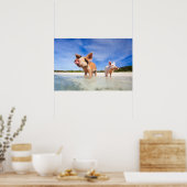 Zwei kleine Ferkel Poster (Küche)