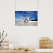 Zwei kleine Ferkel Poster (Küche)