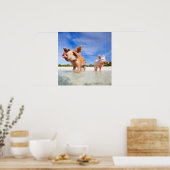 Zwei kleine Ferkel Poster (Küche)