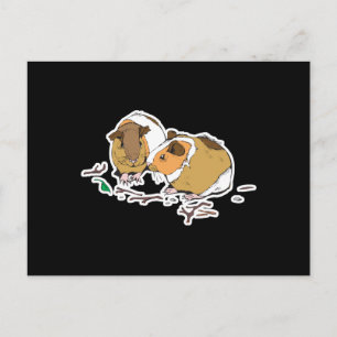zwei kleine Guinea Postkarte