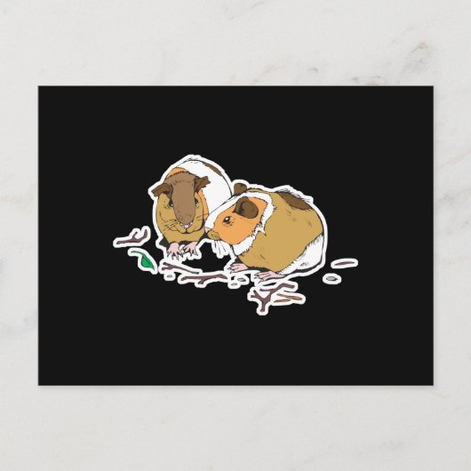 zwei kleine Guinea Postkarte (Vorderseite)