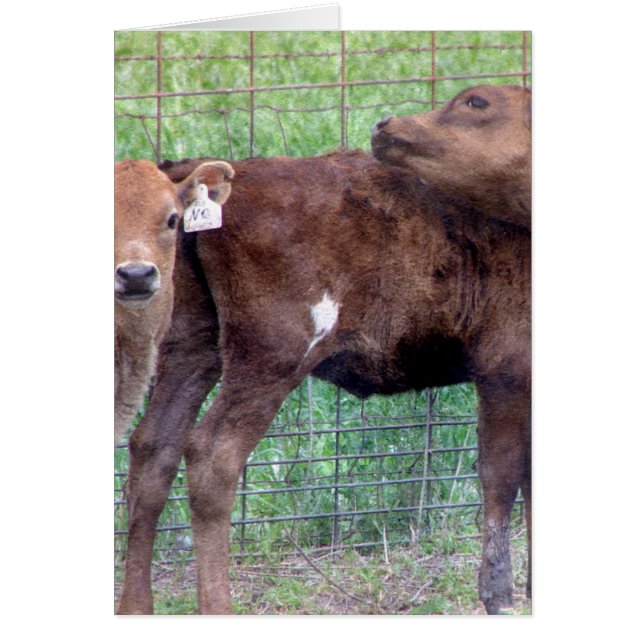 Zwei kleine Höhenunterschiede (Vorne)
