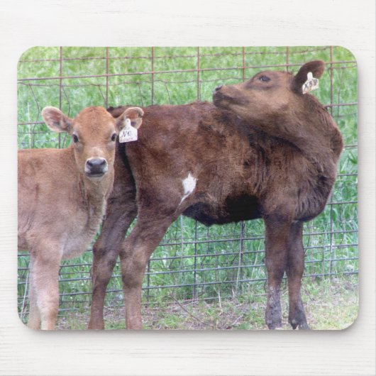 Zwei kleine Höhenunterschiede Mousepad (Vorne)