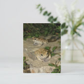 Zwei kleine Kröten - grüner Froschdruck Postkarte (Stehend Vorderseite)