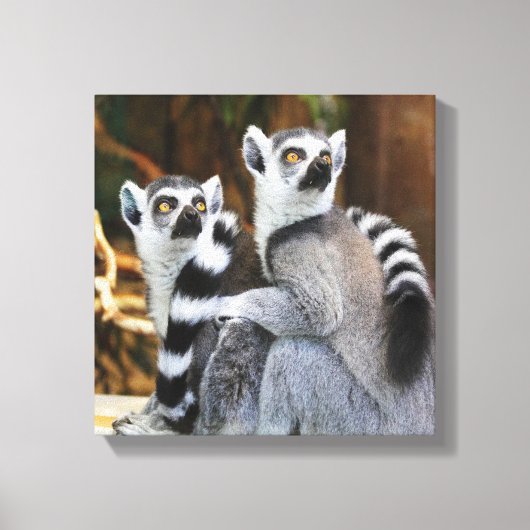 Zwei kleine Lemurs Leinwanddruck (Vorderseite)