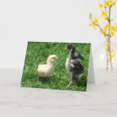 Zwei kleine Meinungsverschiedenheiten Karte (Gelbe Blume)