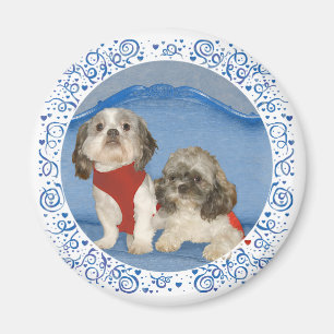 Zwei kleine Shih Tzu Rettungshunde Magnet