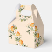 Zwei kleine Süssen mit Zitrusfrüchtedusche Geschenkschachtel (Rückseite)